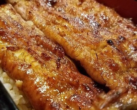 Dinner at Unagi Musashino (鰻 むさし乃)