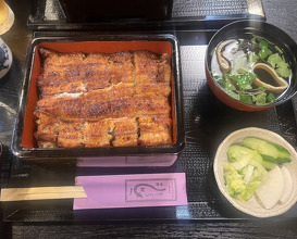 Dinner at Unagi Musashino (鰻 むさし乃)
