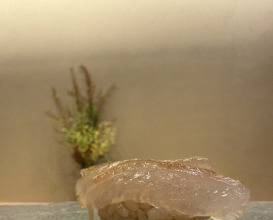 Dinner at Sushi Dokoro Mutsuki (すし処 睦月)