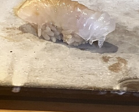 Dinner at Sushi Dokoro Mutsuki (すし処 睦月)