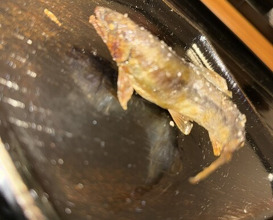 Dinner at Myoujyaku