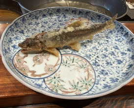 Dinner at Nakamura (Yaizu)