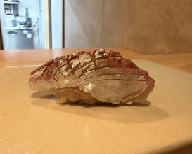 Dinner at Sushi Nakamura (鮨中村)