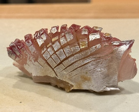 Dinner at Sushi Nakamura (鮨中村)