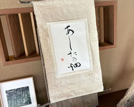 Dinner at Sakana Ryouri Nawa Ya (魚菜料理 縄屋)