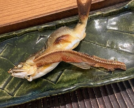 Dinner at Sakana Ryouri Nawa Ya (魚菜料理 縄屋)