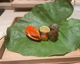Dinner at Nikuyatanaka Ginza