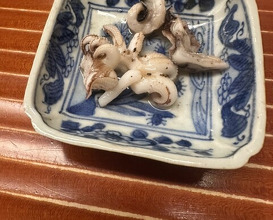 Dinner at Ninomae