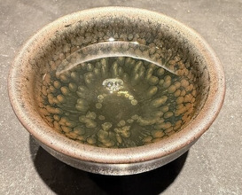 Dinner at Ninshu Rou (仁修樓)