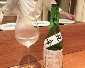 Dinner at NK (New Wonderful Companions feat. Kakuland)
