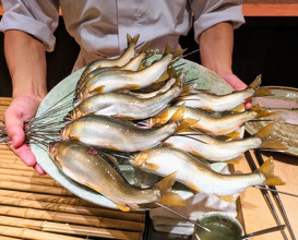 Dinner at Noguchi Guran Gurin Osaka (野口 グラングリーン大阪)