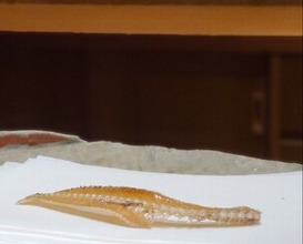 Dinner at Numata