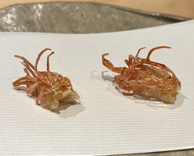 Dinner at Numata