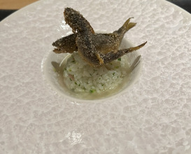 Dinner at Ginza Oishi