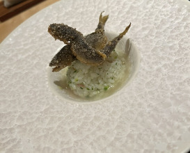 Dinner at Ginza Oishi
