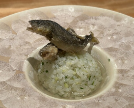 Dinner at Ginza Oishi