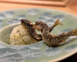 Dinner at Ginza Oishi