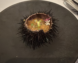 Dinner at OSTERIA ENOTECA DA SASINO (オステリア・エノテカ・ダ・サスィーノ)