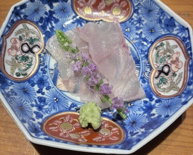 Dinner at Otome Zushi (乙女寿司)