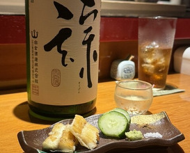 Dinner at Otome Zushi (乙女寿司)