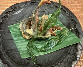 Dinner at Gion Owatari