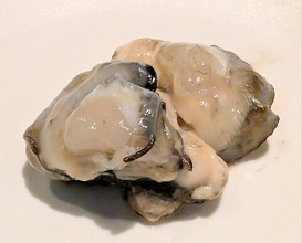 Dinner at pesceco (pesceco)