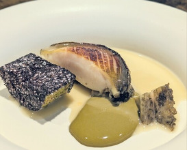 Dinner at pesceco (pesceco)