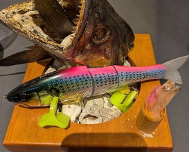 Dinner at PRESENTE Sugi (プレゼンテ スギ)