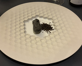 Dinner at PRESENTE Sugi (プレゼンテ スギ)