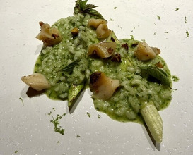 Dinner at PRIMO PASSO