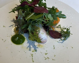 Dinner at recte