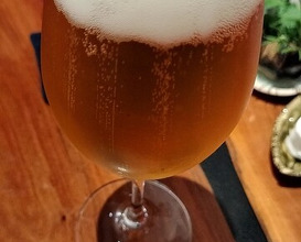 Dinner at Restaurant Ryu (レストランRyu)
