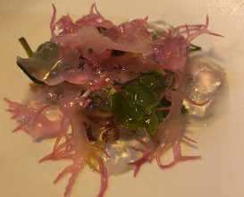 Dinner at Restaurant SNOW (レストラン スノゥ)
