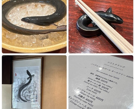 Dinner at Rin (麟)