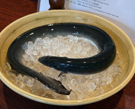 Dinner at Rin (麟)