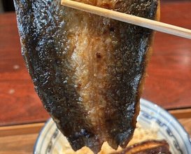 Dinner at Rin (麟)