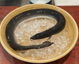 Dinner at Rin (麟)