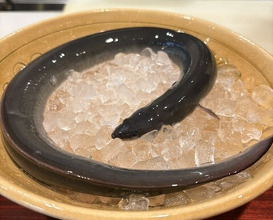 Dinner at Rin (麟)