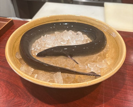 Dinner at Rin (麟)