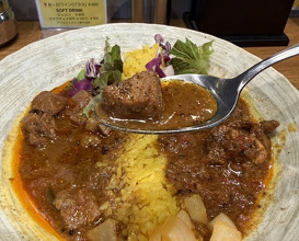 Dinner at SPICY CURRY Roka (SPICY CURRY 魯珈)