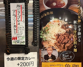 Dinner at SPICY CURRY Roka (SPICY CURRY 魯珈)