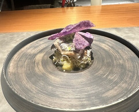 Dinner at Japanese inspired Italian cuisine sai (日本のイタリア料理店 sai)