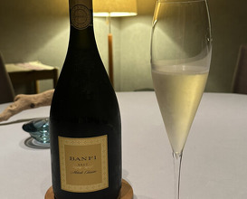 Dinner at Japanese inspired Italian cuisine sai (日本のイタリア料理店 sai)