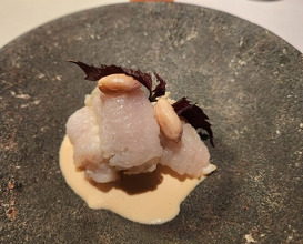 Dinner at Japanese inspired Italian cuisine sai (日本のイタリア料理店 sai)