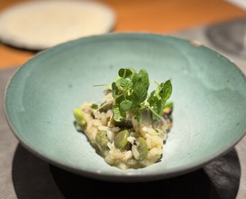 Dinner at Japanese inspired Italian cuisine sai (日本のイタリア料理店 sai)