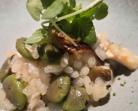 Dinner at Japanese inspired Italian cuisine sai (日本のイタリア料理店 sai)