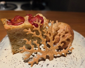 Dinner at Japanese inspired Italian cuisine sai (日本のイタリア料理店 sai)