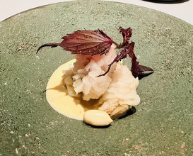 Dinner at Japanese inspired Italian cuisine sai (日本のイタリア料理店 sai)