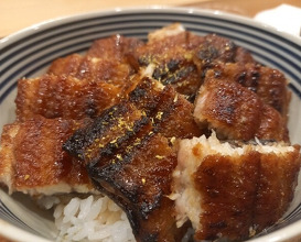 Dinner at Sakuragi (櫻木)