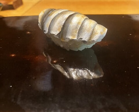 Dinner at Sushi Sanshin